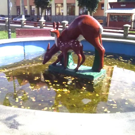 Casa Centrala 3* Azuga